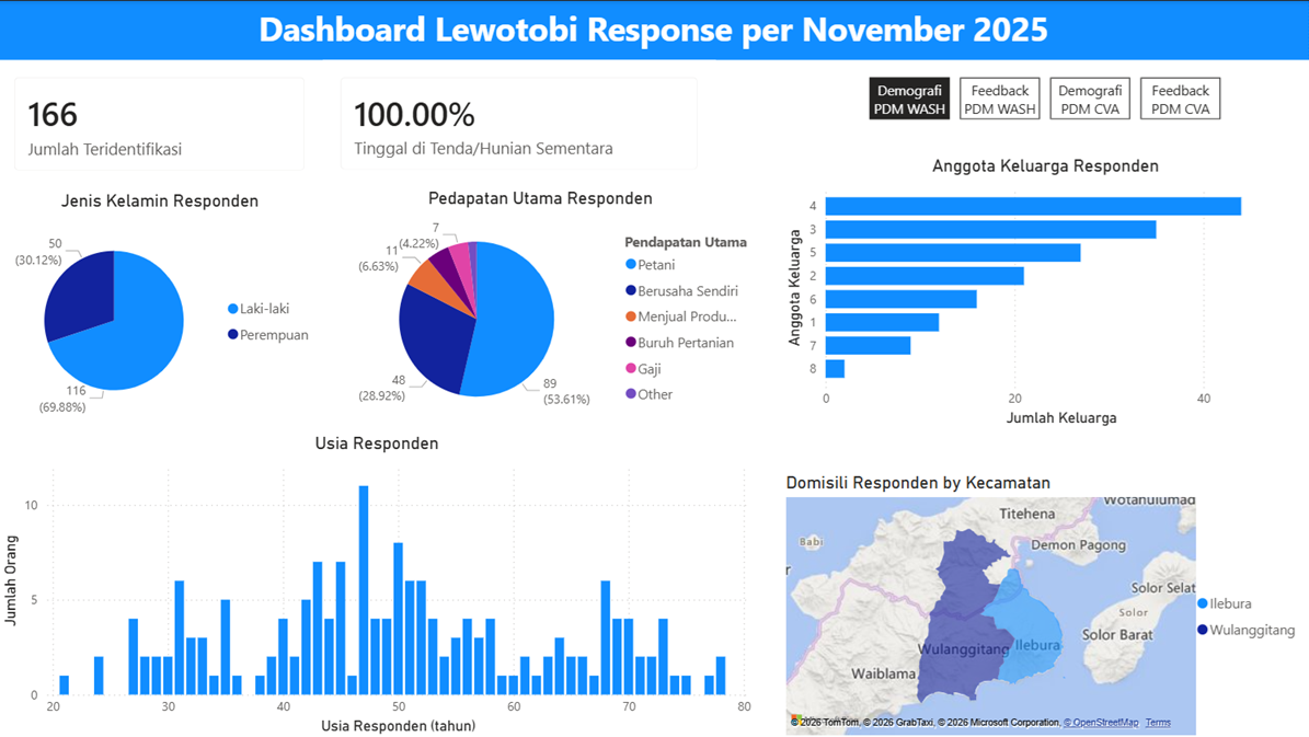 Power BI dashboard page showing WASH program demographics